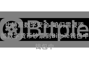 比特派数字安全 咱们需要添加数字货币钞票到Bitpie钱包中