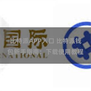 比特派APP入口 比特派钱包新手指南：下载使用教程