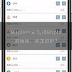 Bitpie中文 选择Bitpie的原因，你知道吗？