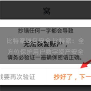 比特派钱包安全 比特派：全方位保护用户数字资产安全