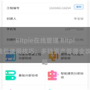 Bitpie在线管理 Bitpie钱包使用技巧：多链资产管理全攻略