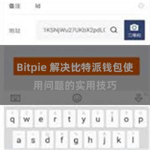 Bitpie 解决比特派钱包使用问题的实用技巧