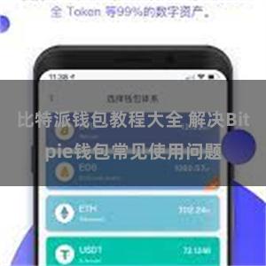 比特派钱包教程大全 解决Bitpie钱包常见使用问题