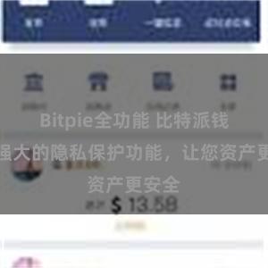 Bitpie全功能 比特派钱包：强大的隐私保护功能，让您资产更安全