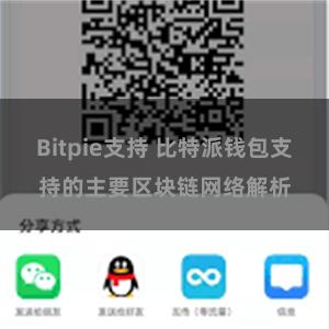 Bitpie支持 比特派钱包支持的主要区块链网络解析