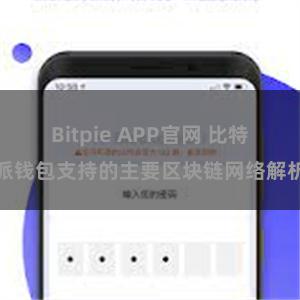 Bitpie APP官网 比特派钱包支持的主要区块链网络解析