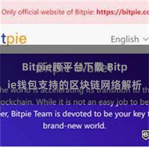 Bitpie跨平台下载 Bitpie钱包支持的区块链网络解析