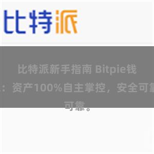 比特派新手指南 Bitpie钱包：资产100%自主掌控，安全可靠。