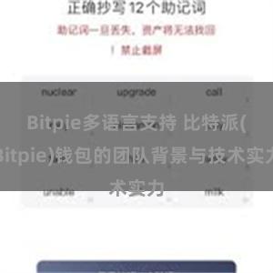 Bitpie多语言支持 比特派(Bitpie)钱包的团队背景与技术实力