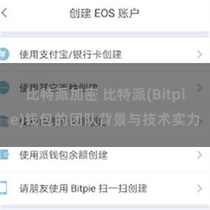 比特派加密 比特派(Bitpie)钱包的团队背景与技术实力