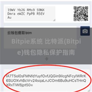 Bitpie系统 比特派(Bitpie)钱包隐私保护指南