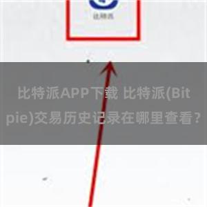 比特派APP下载 比特派(Bitpie)交易历史记录在哪里查看？