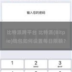 比特派跨平台 比特派(Bitpie)钱包如何设置每日限额？