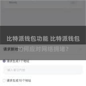 比特派钱包功能 比特派钱包如何应对网络拥堵？