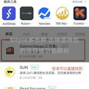 Bitpie多币种 比特派钱包的冷存储功能解析