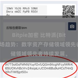 Bitpie加密 比特派(Bitpie)钱包市场趋势：数字资产存储领域领先者持续发展。