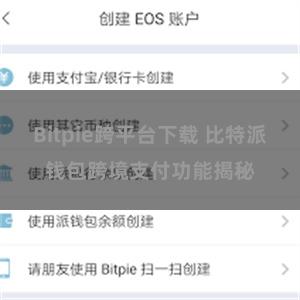 Bitpie跨平台下载 比特派钱包跨境支付功能揭秘