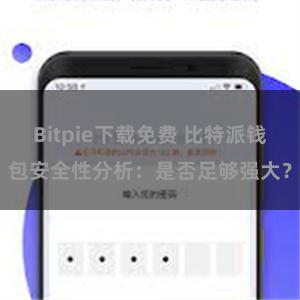 Bitpie下载免费 比特派钱包安全性分析：是否足够强大？