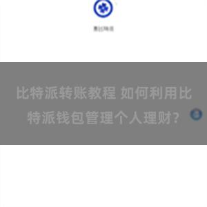 比特派转账教程 如何利用比特派钱包管理个人理财？