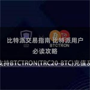 比特派交易指南 比特派用户必读攻略