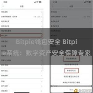 Bitpie钱包安全 Bitpie系统：数字资产安全保障专家