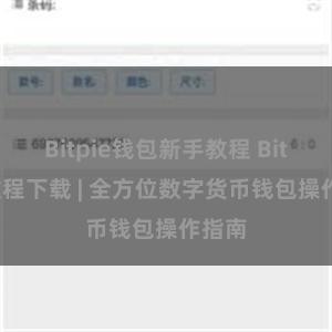 Bitpie钱包新手教程 Bitpie教程下载 | 全方位数字货币钱包操作指南