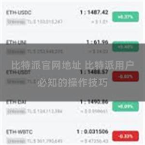 比特派官网地址 比特派用户必知的操作技巧