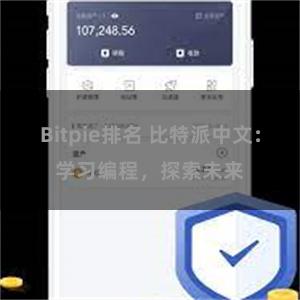 Bitpie排名 比特派中文：学习编程，探索未来