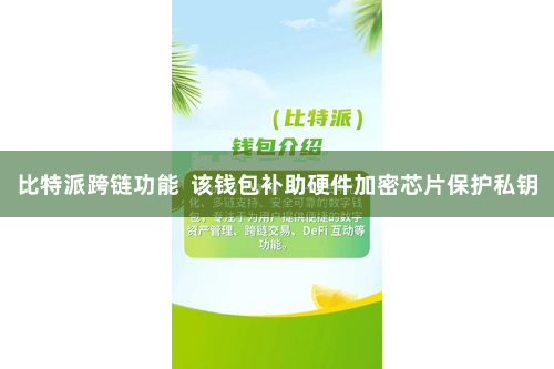 比特派跨链功能  该钱包补助硬件加密芯片保护私钥