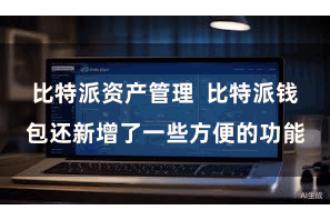 比特派资产管理  比特派钱包还新增了一些方便的功能